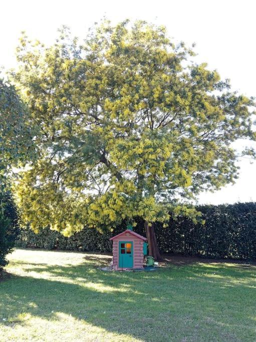 La Casina Di Campagna Tra Cecina E Bibbona Villa Exterior photo